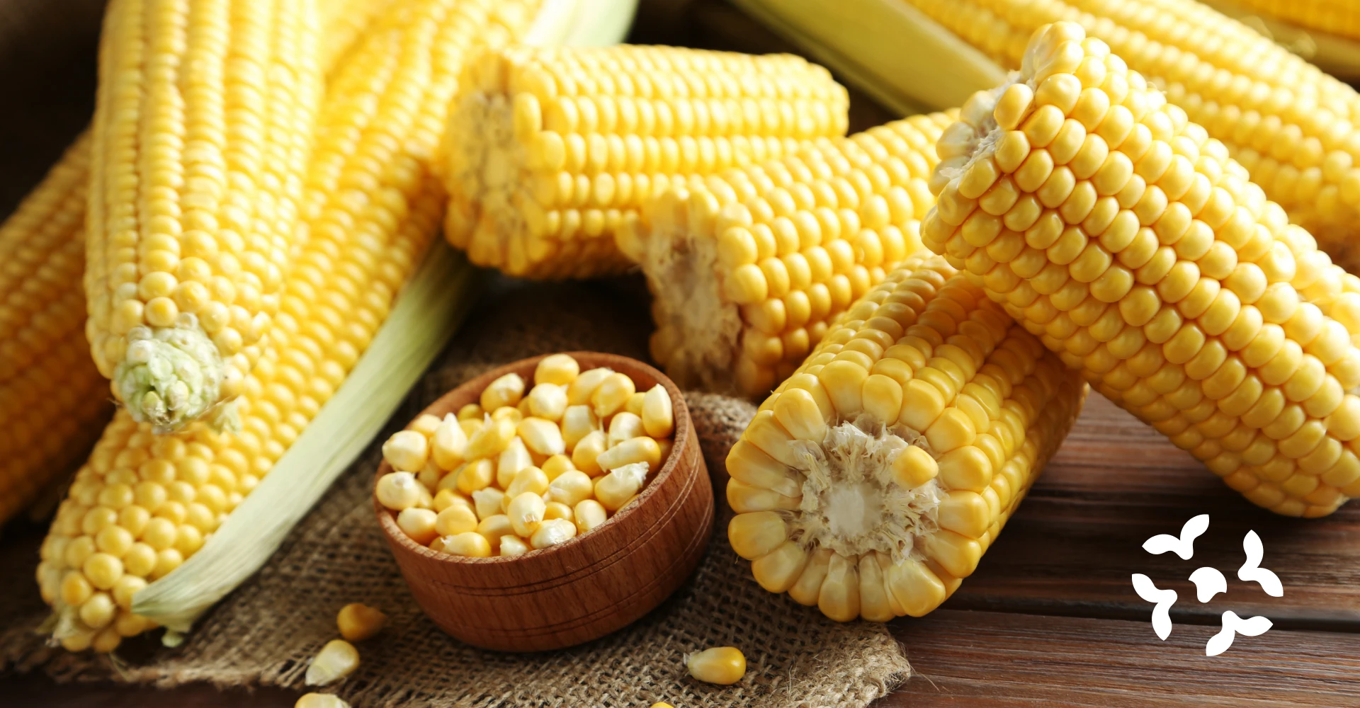 don simón - principal