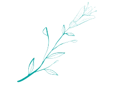 event planner - proceso