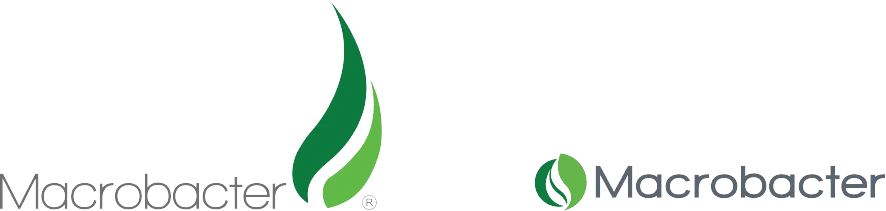 macrobacter - proceso