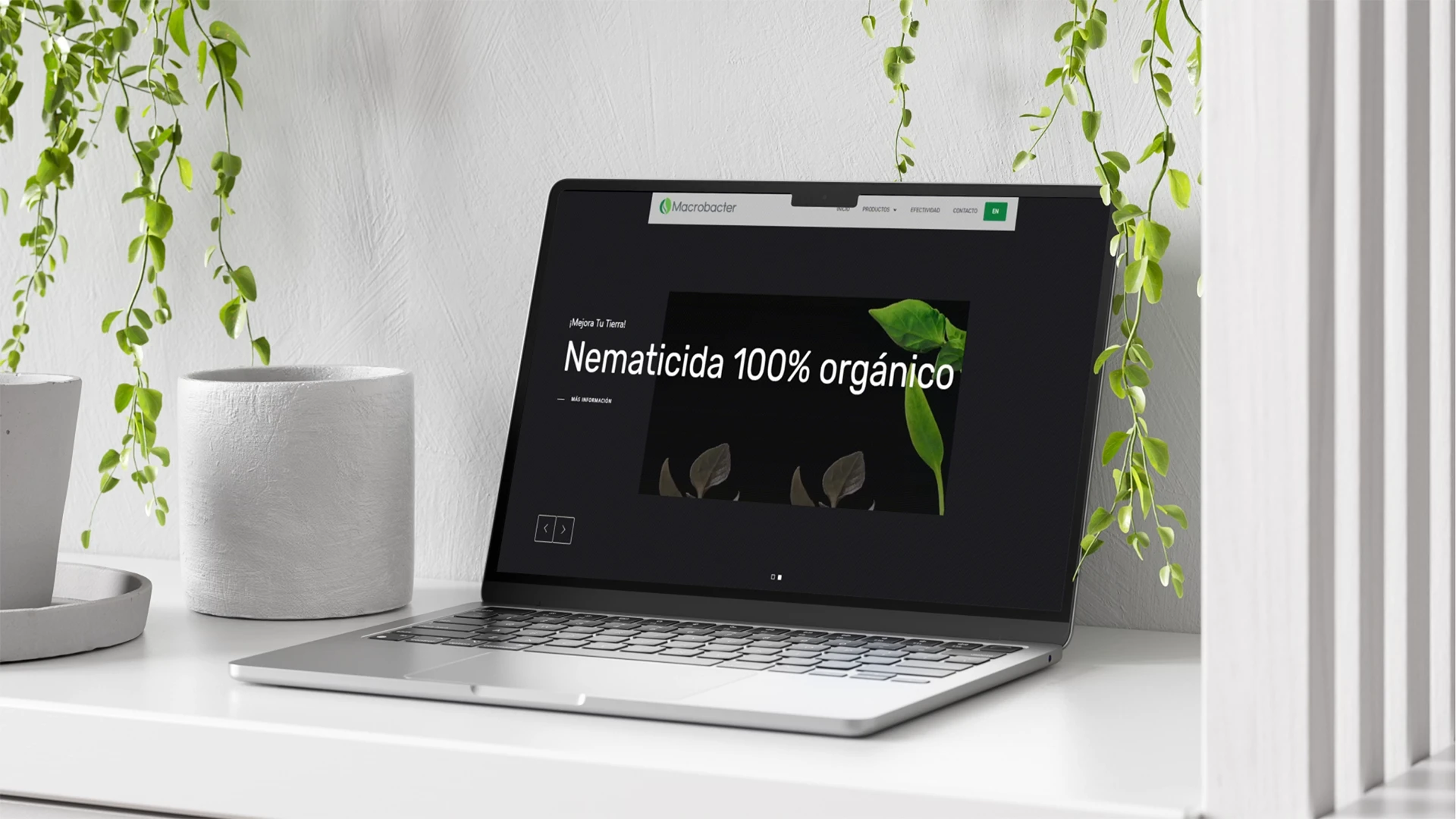 macrobacter - web final