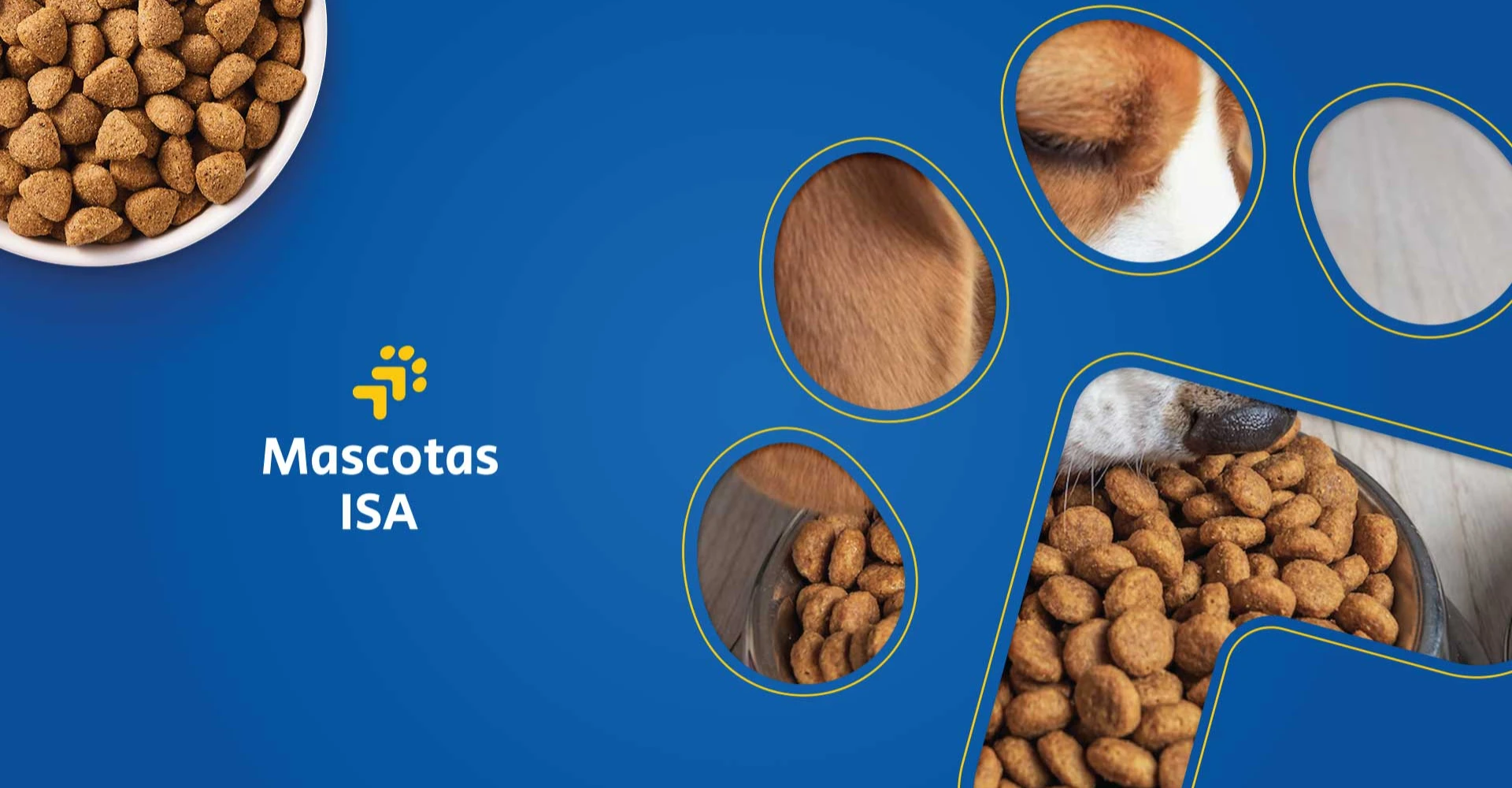 mascotas isa - secundaria