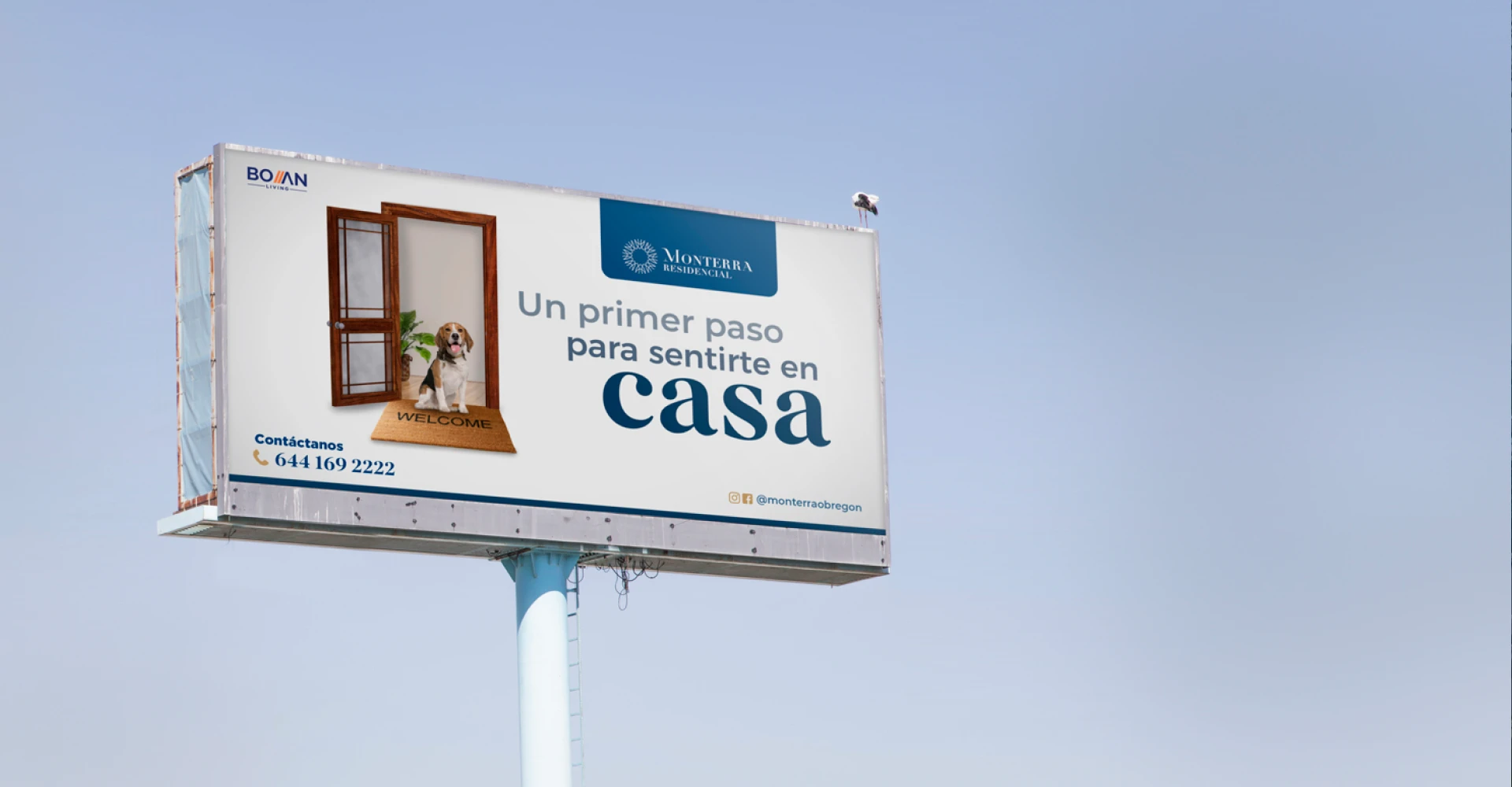 monterra - secundario