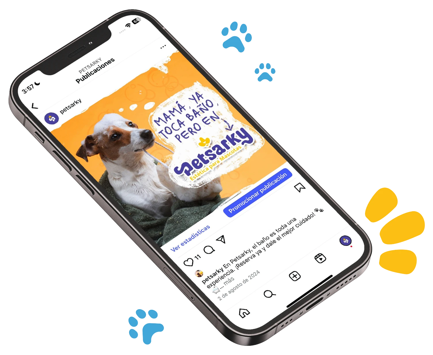 petsarky - post final