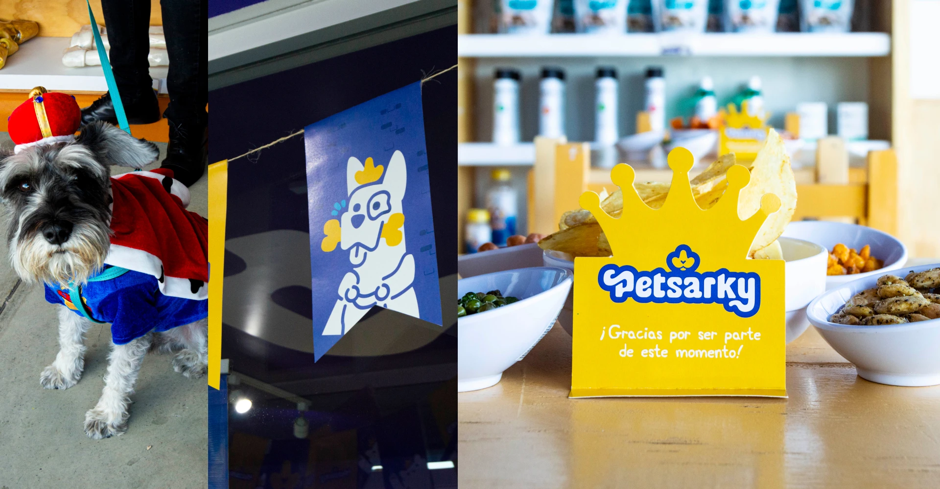 petsarky - secundaria