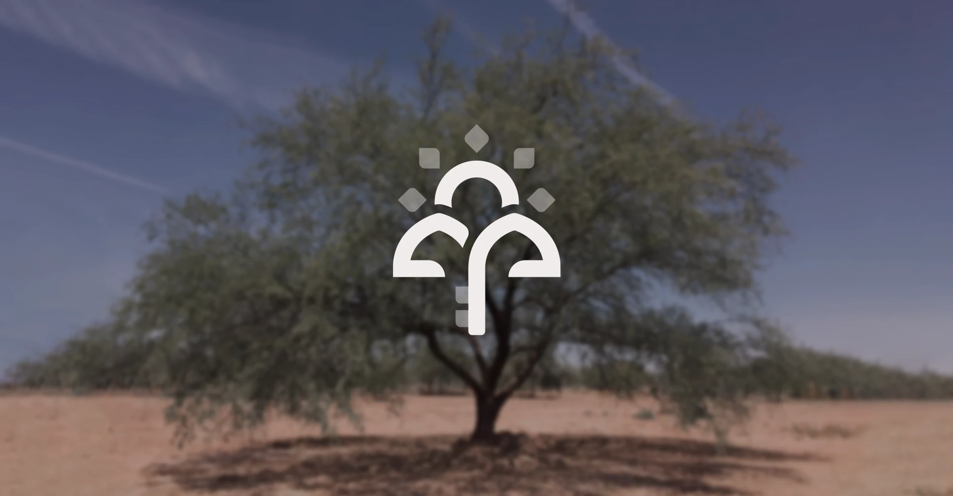 san pedro - secundaria